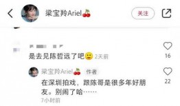 陈哲远恋情爆料最新,神秘女友身份揭秘，恋情细节引热议