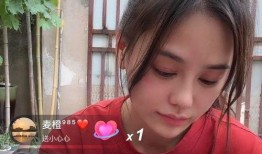 四叔四婶爆料视频大全,揭秘家族秘闻与真实生活